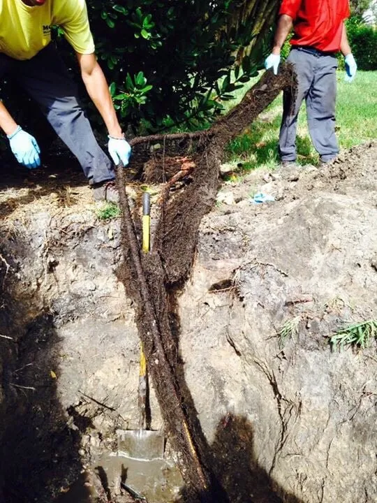 Emergency plumbing repair service in Coral Springs, FL - Moody Plumbing