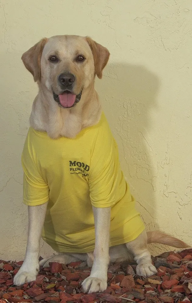 Slide of Moody Plumbing