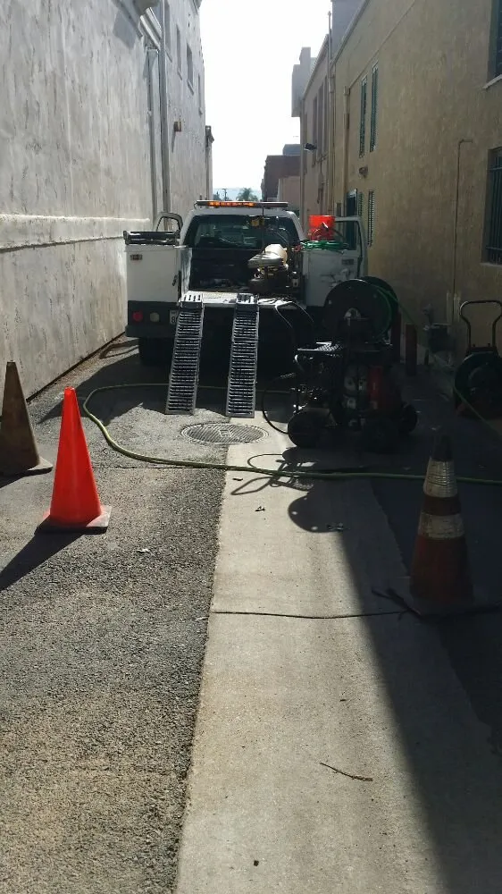 Slide of Moonlight Rooter