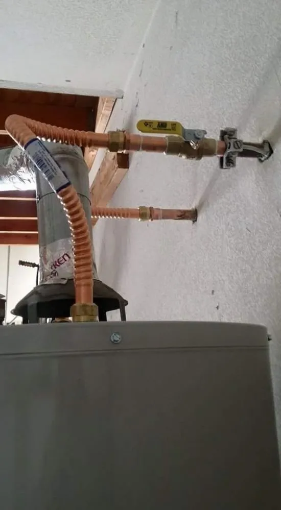 Slide of Moonlight Rooter