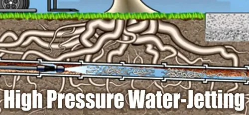 Slide of Moonlight Rooter