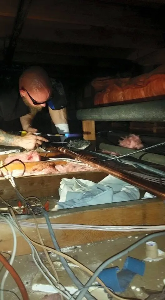 Slide of Moonlight Rooter