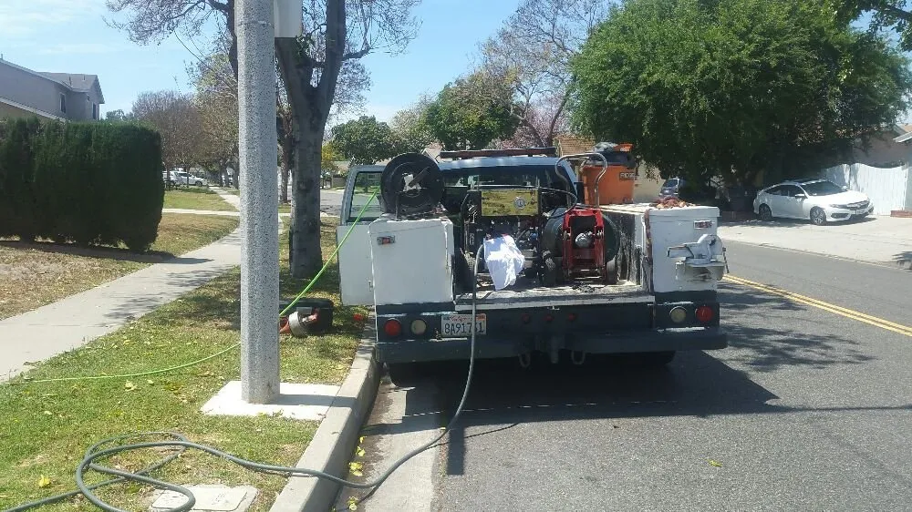 Slide of Moonlight Rooter