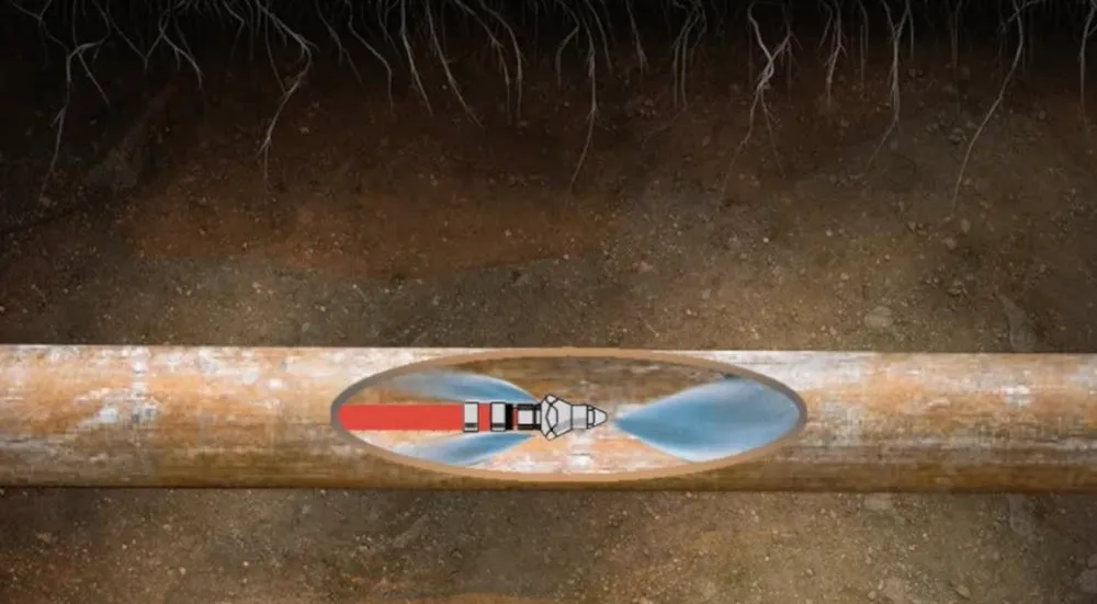 Slide of Moonlight Rooter