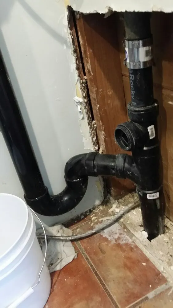 Slide of Moonlight Rooter