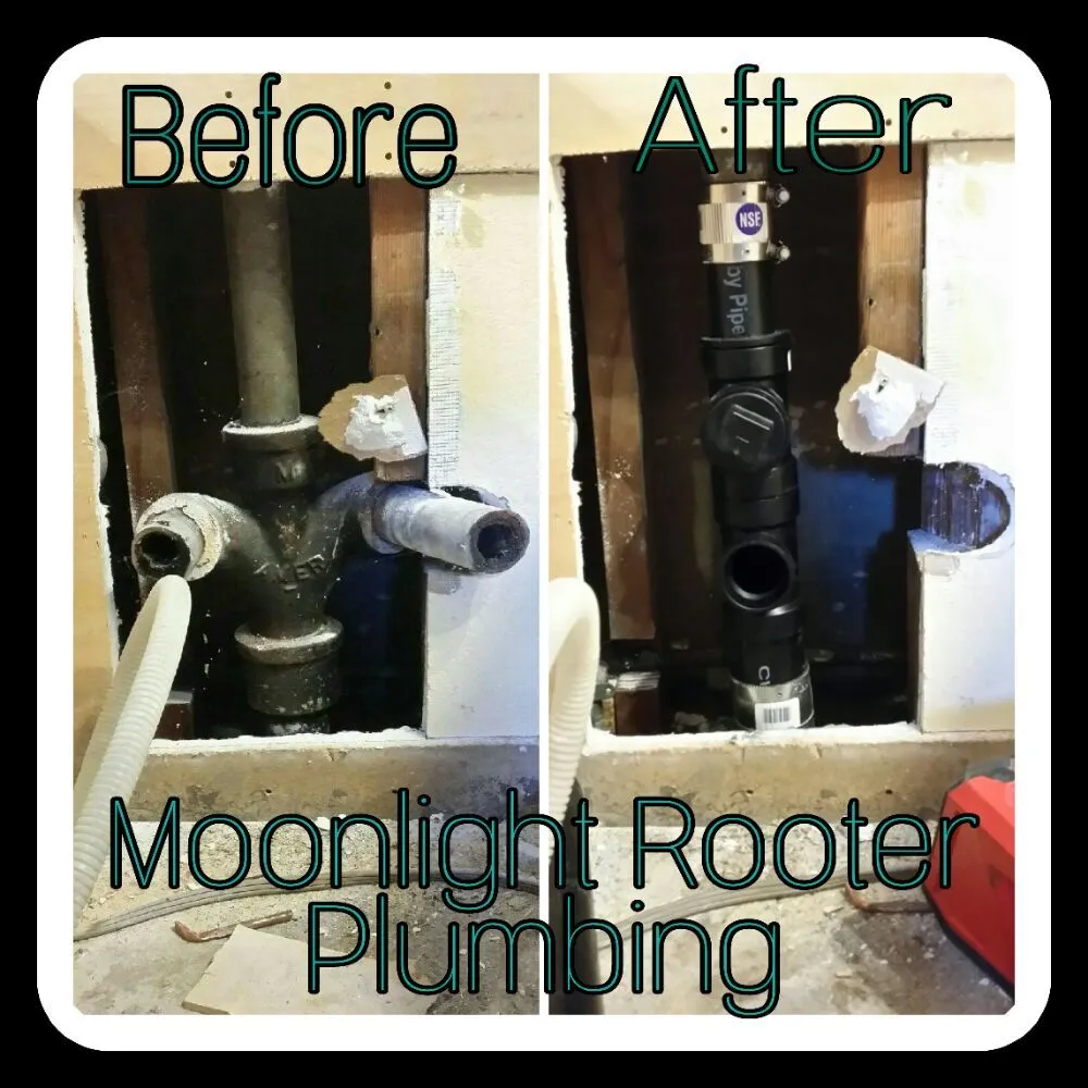 Slide of Moonlight Rooter