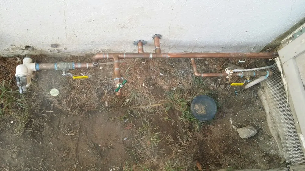 Slide of Moonlight Rooter