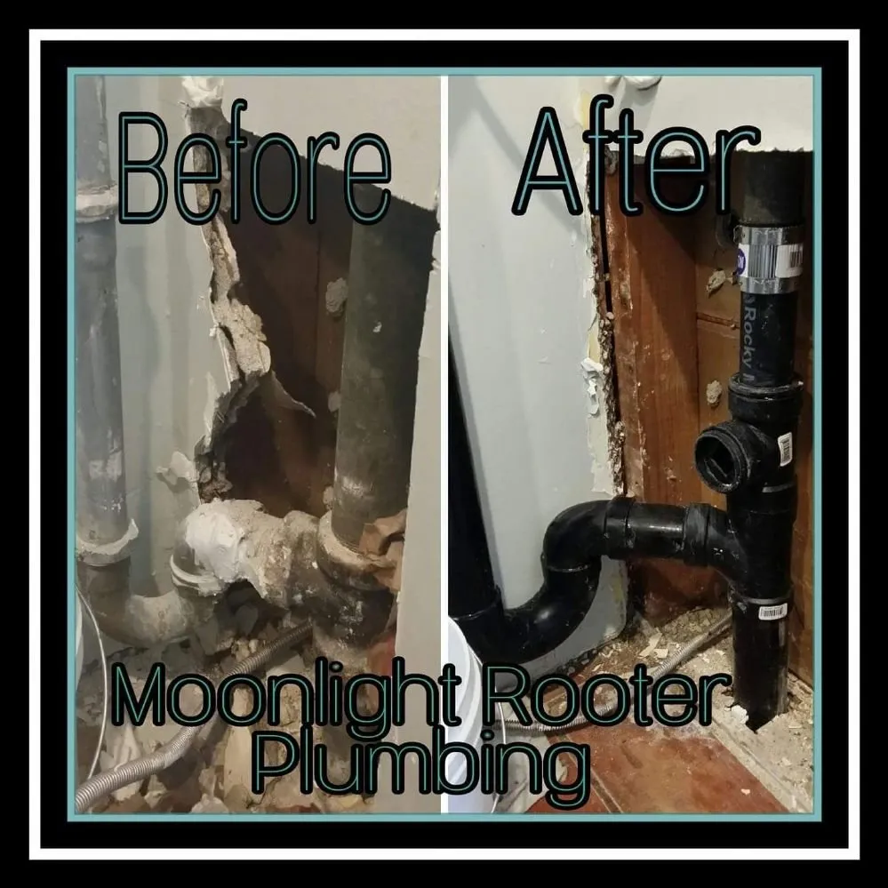 Slide of Moonlight Rooter