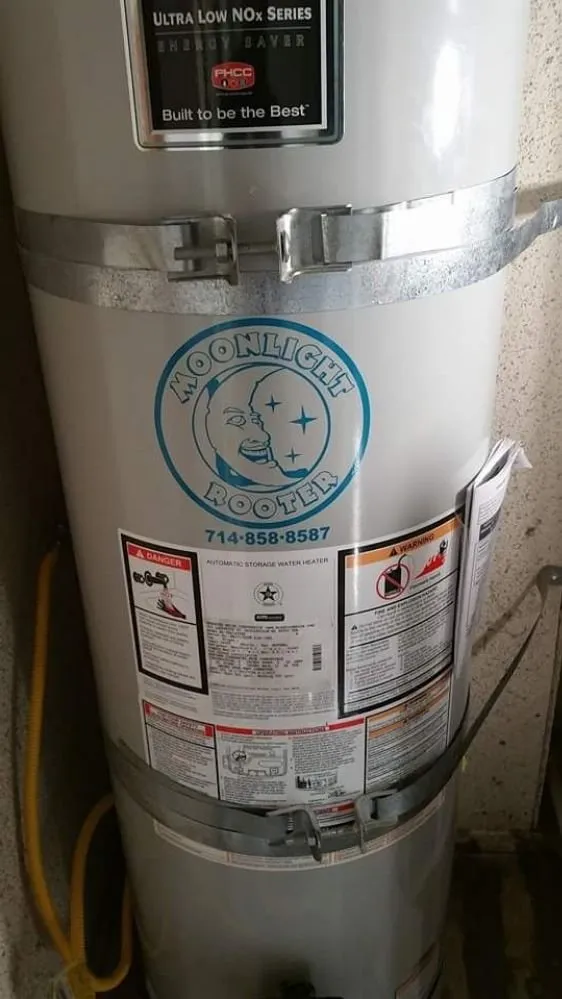 Slide of Moonlight Rooter