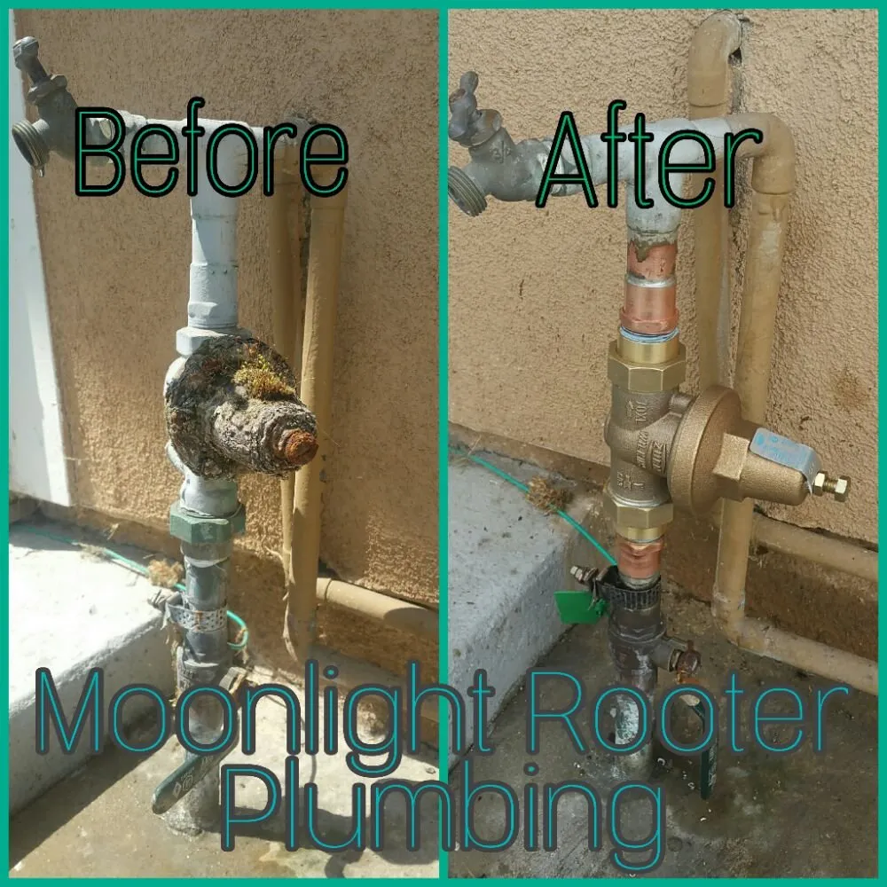 Slide of Moonlight Rooter