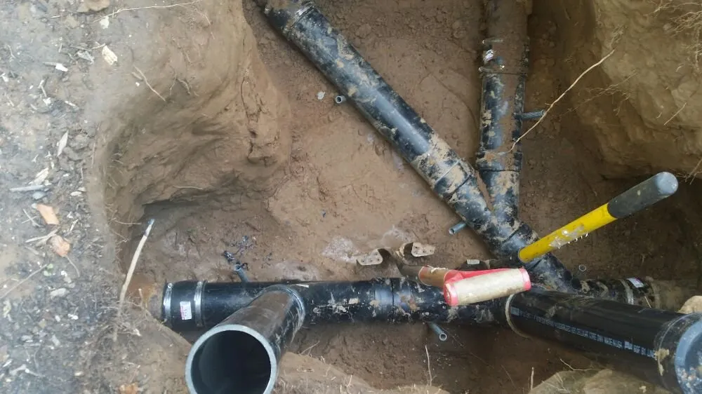 Slide of Moonlight Rooter