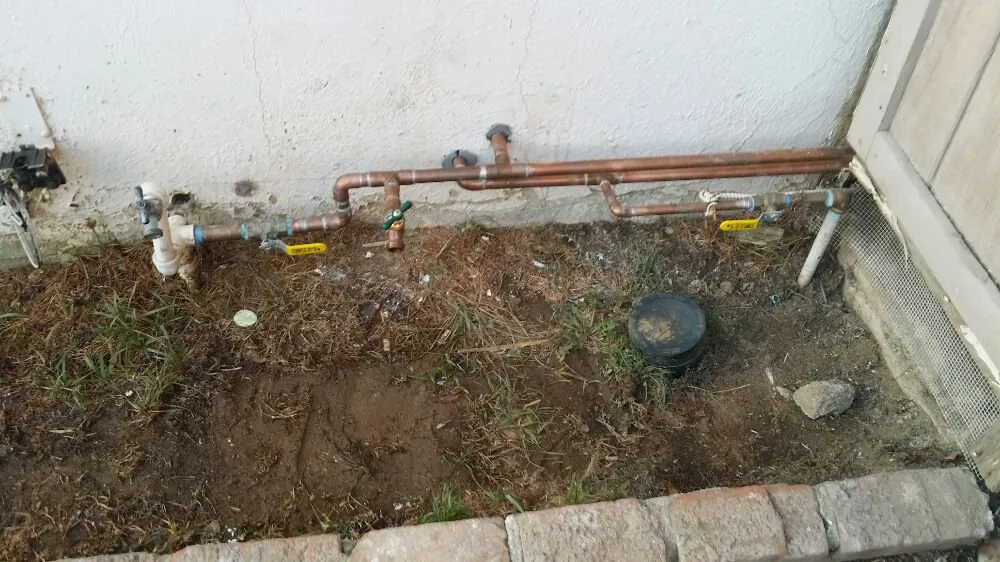 Slide of Moonlight Rooter