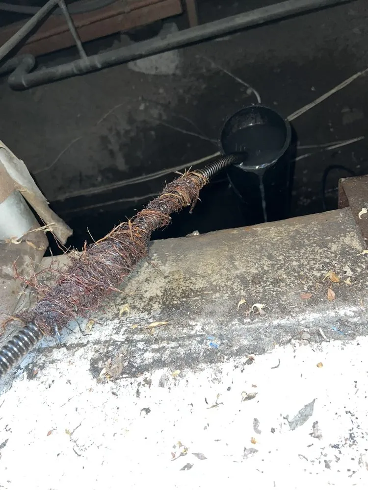 Slide of Moonman Plumbing