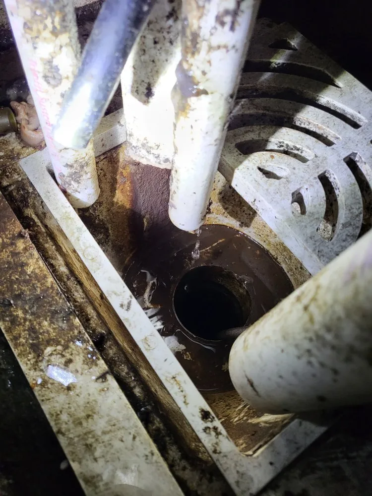 Slide of Moon's Drain Cleaning