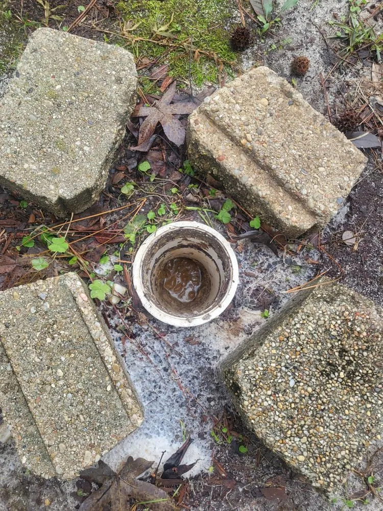 Slide of Moon's Drain Cleaning