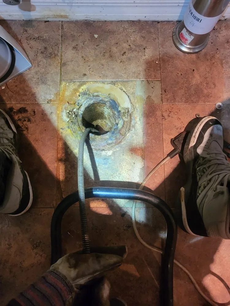 Slide of Moon's Drain Cleaning