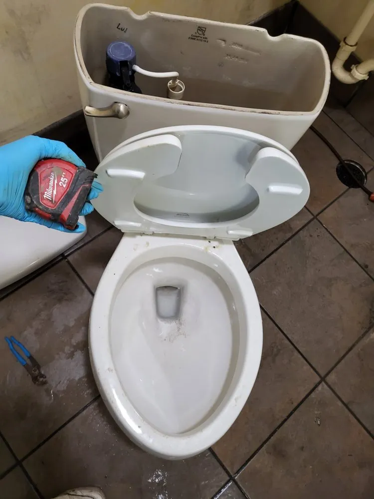 Slide of Moon's Drain Cleaning