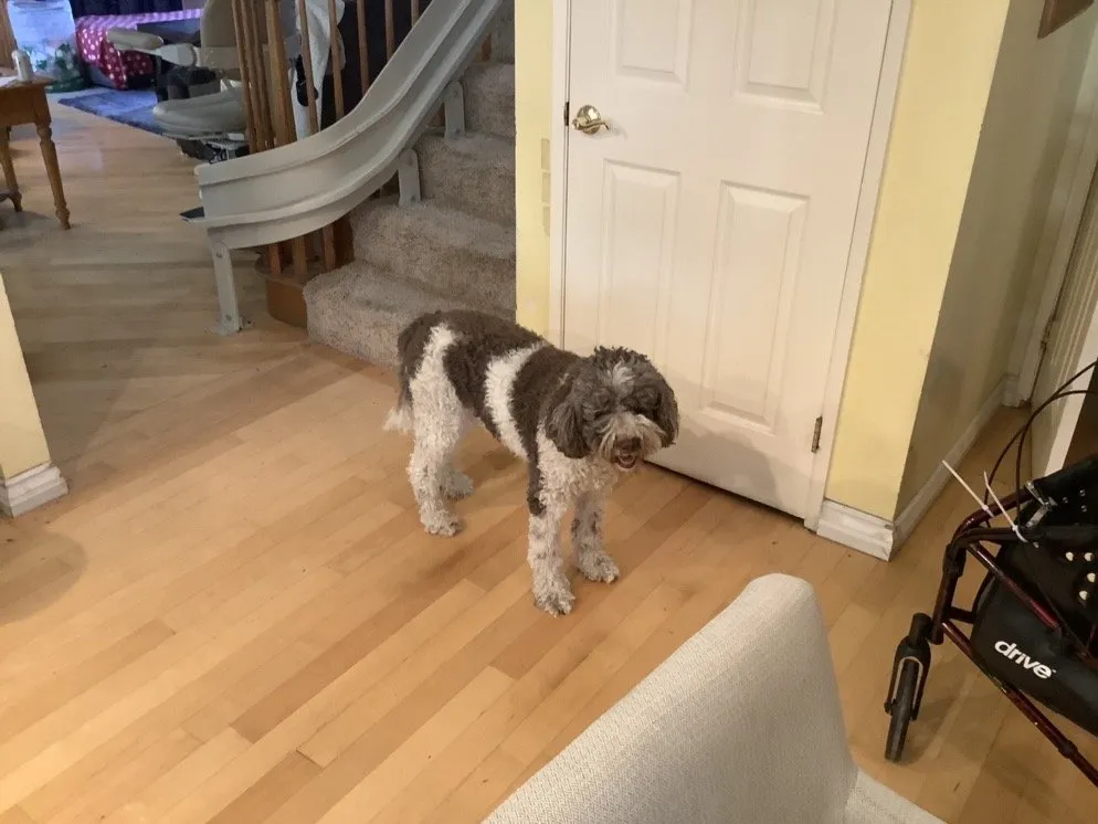 Slide of Moorpark Plumbing