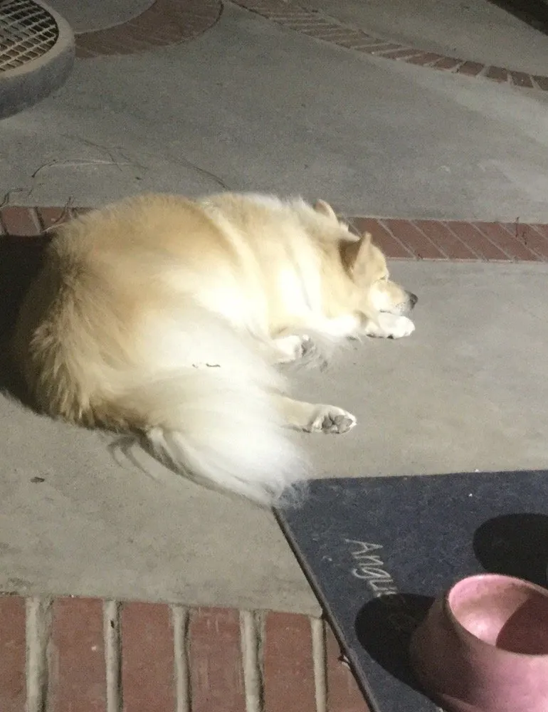 Slide of Moorpark Plumbing