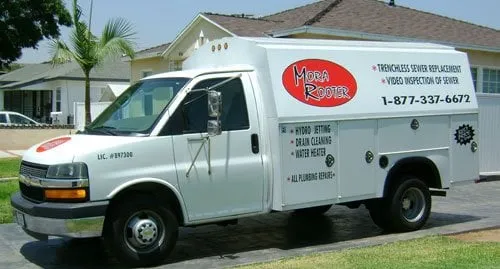 Slide of Mora Rooter