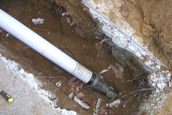 Slide of Mora Rooter