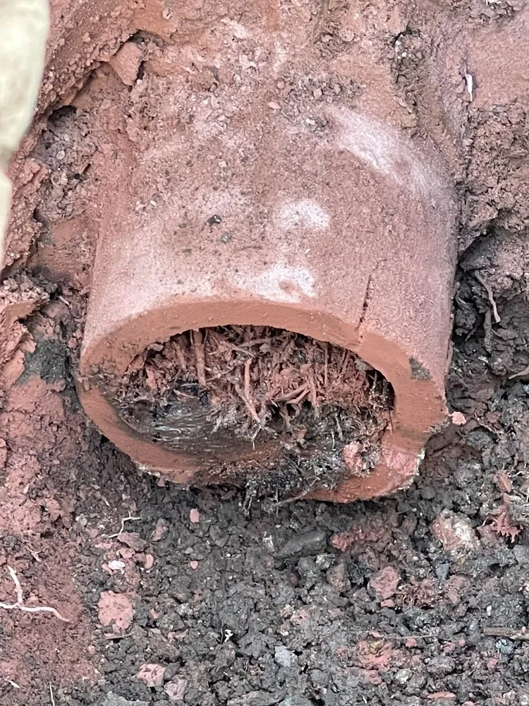 Slide of Moras Rooter Services