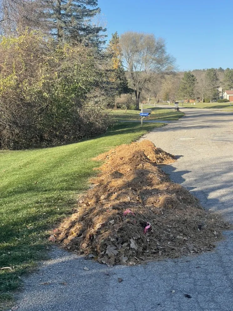 Slide of Morgan Maintenance