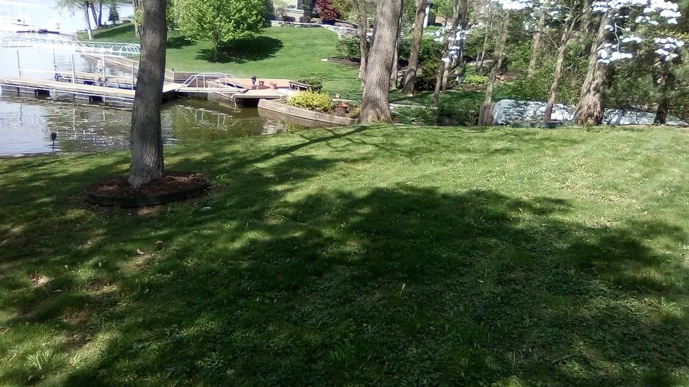 Slide of Morning Dew Property Preservation