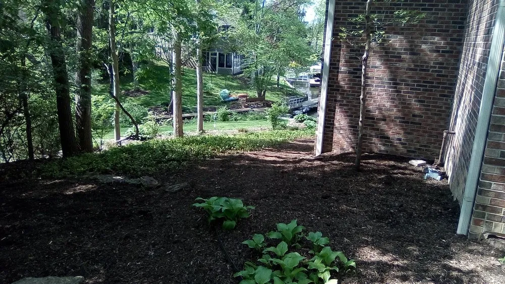 Slide of Morning Dew Property Preservation