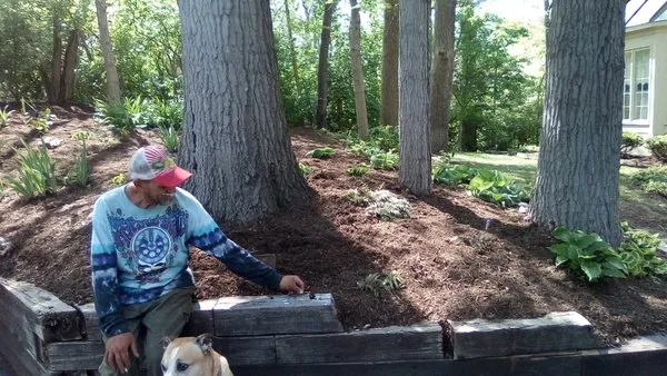 Morning Dew Property Preservation