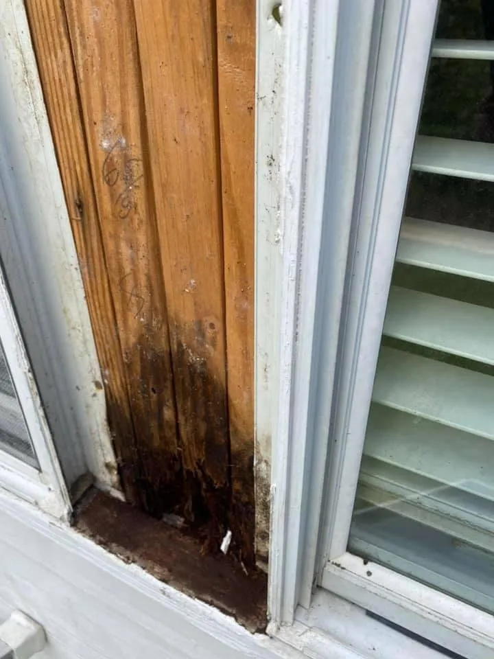 Slide of Moro’s Solutions