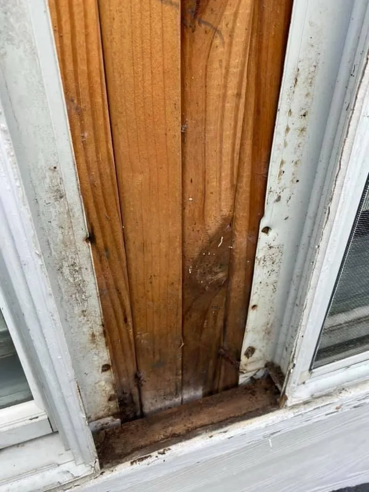 Affordable leak detection in South Jordan, UT by Moro’s Solutions