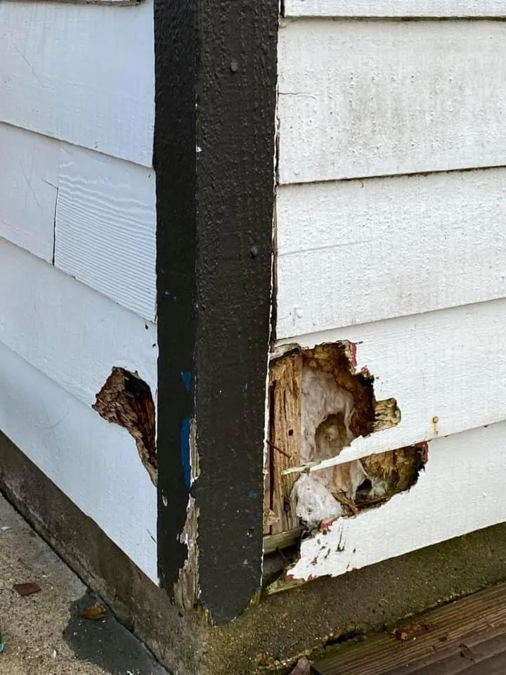 Slide of Moro’s Solutions