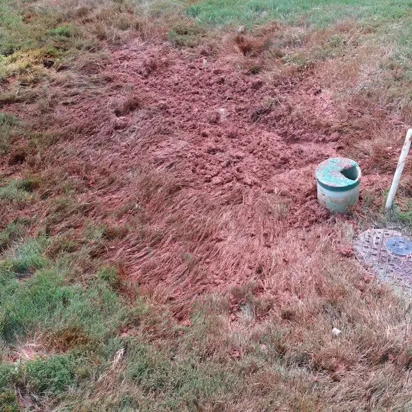 Slide of Morris Carpet Care