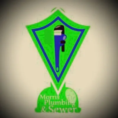 Morris Carpet Care Logo