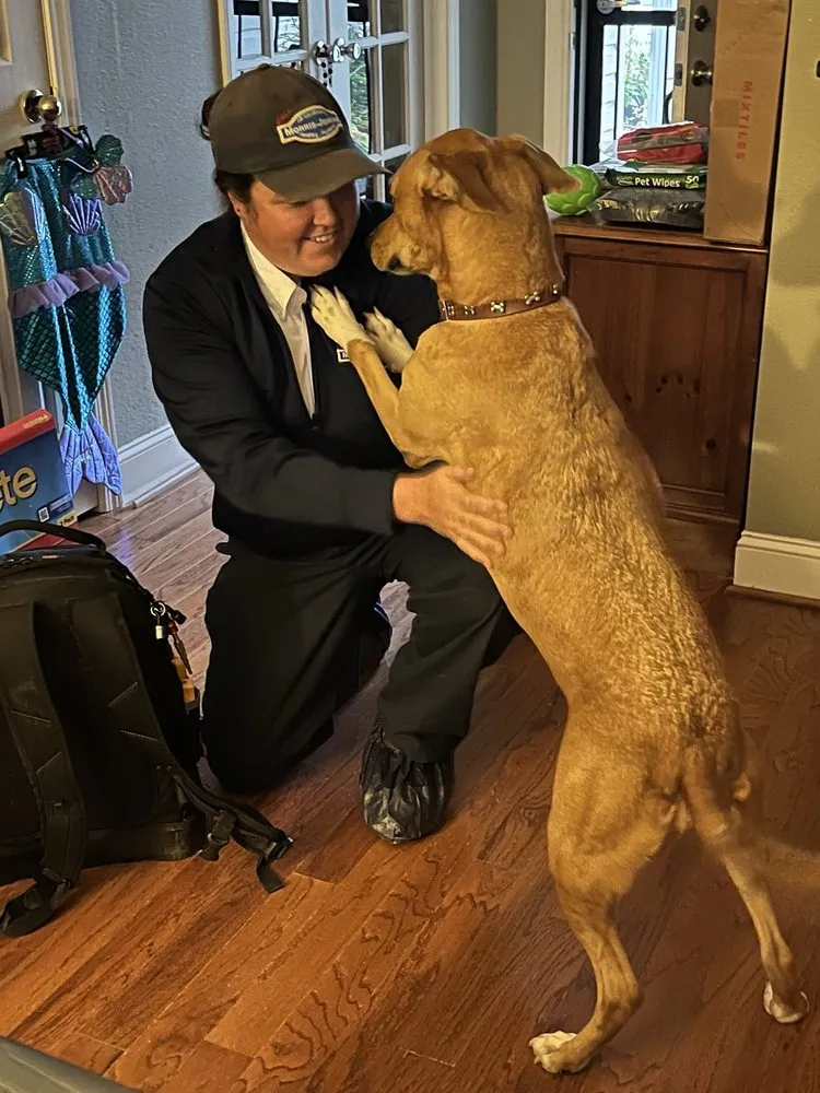 Slide of Morris-Jenkins