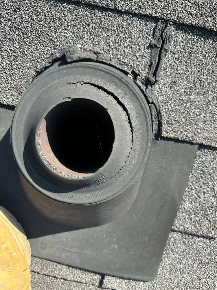 Slide of Morris-Jenkins