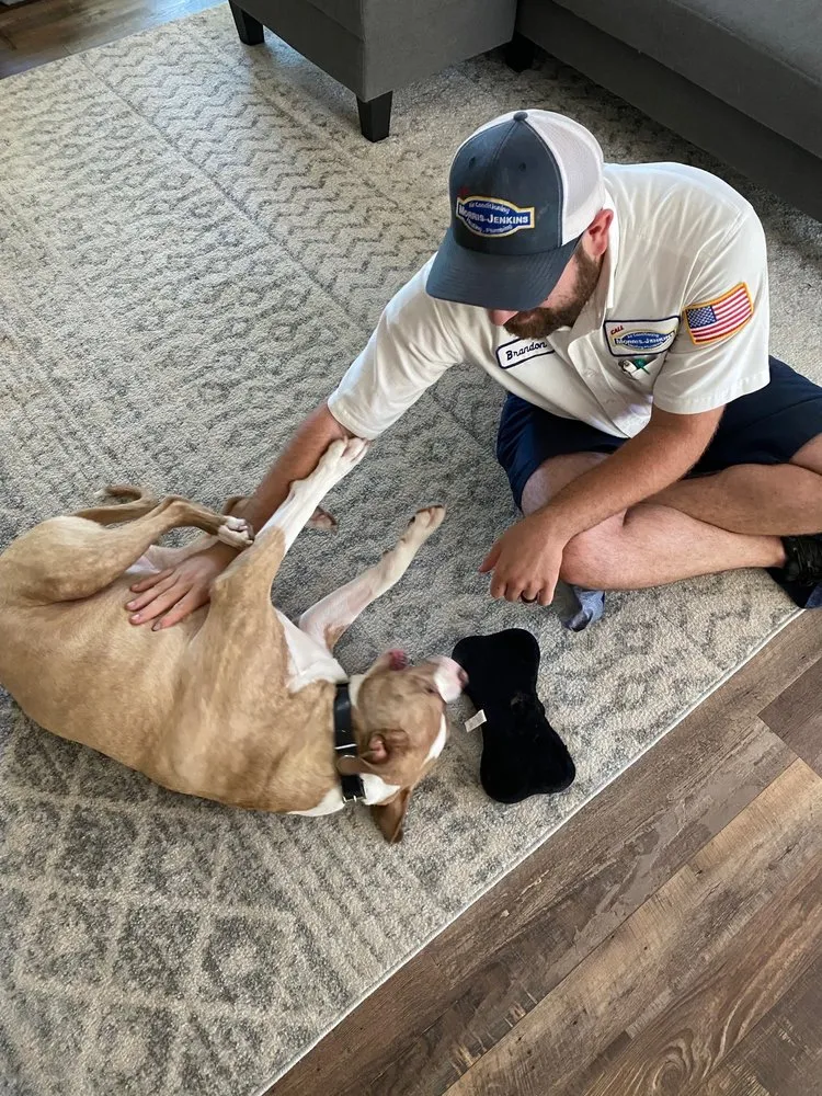 Slide of Morris-Jenkins