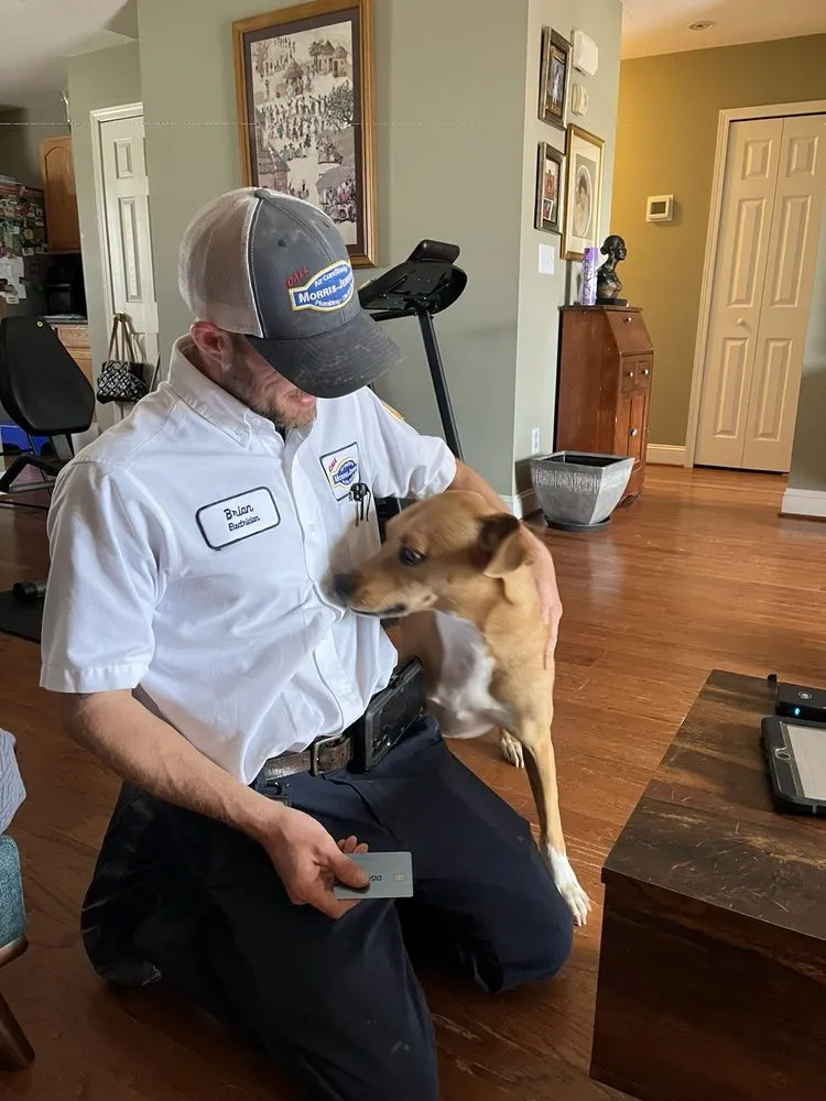 Slide of Morris-Jenkins