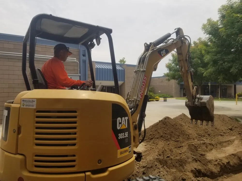 Slide of Morris Levin & Son