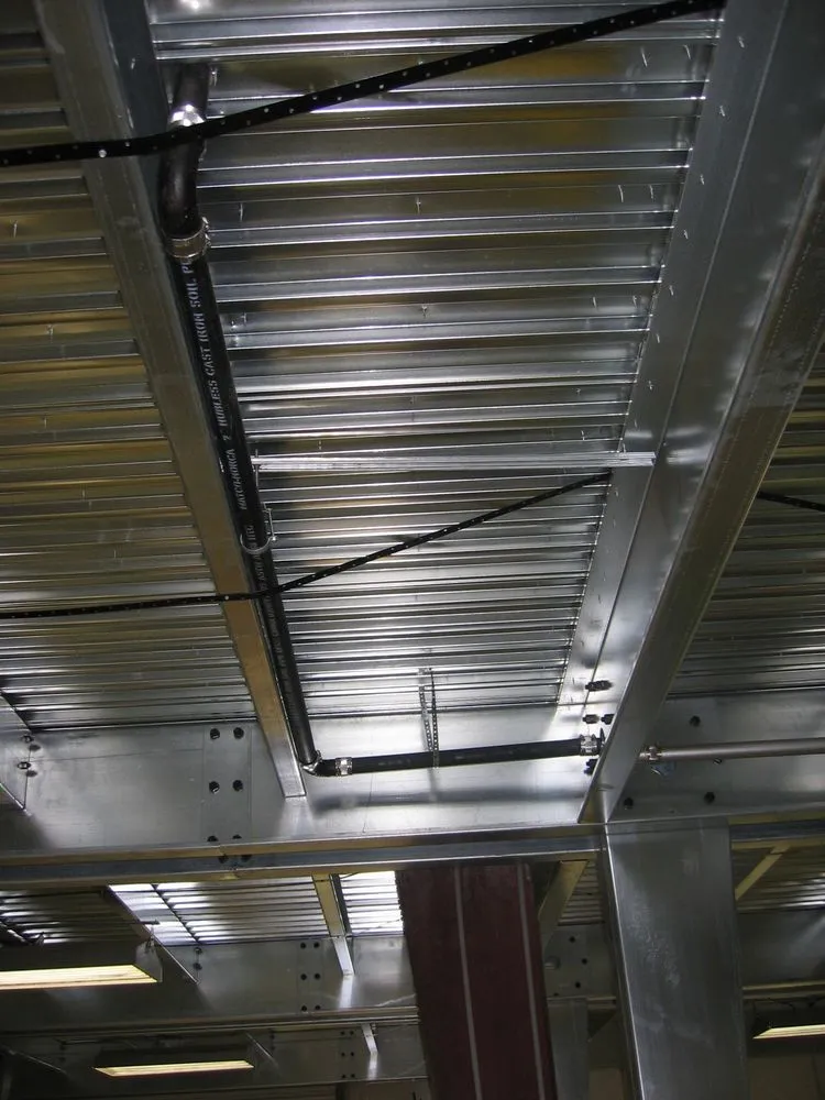 Slide of Morris Levin & Son