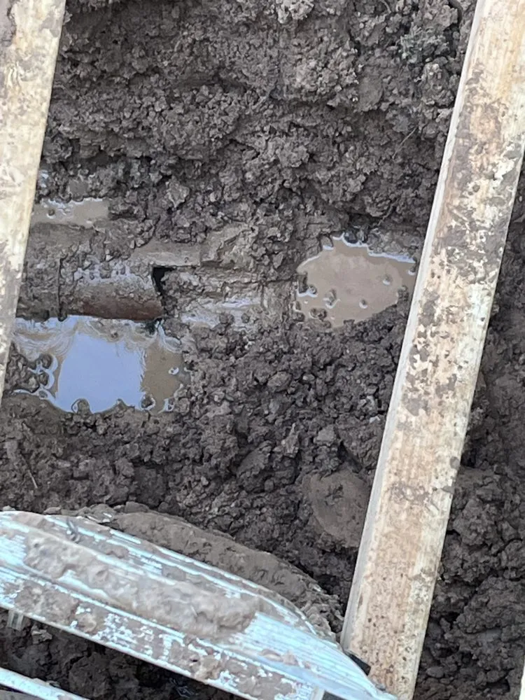 Slide of Most valuable Plumber