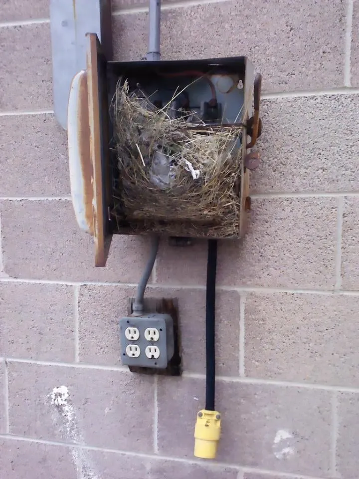 Slide of Mountain Home Services