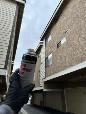 Mountain Maintenance Logo