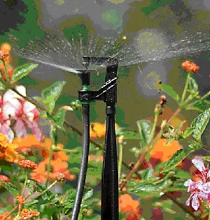 Slide of Mountain Oasis