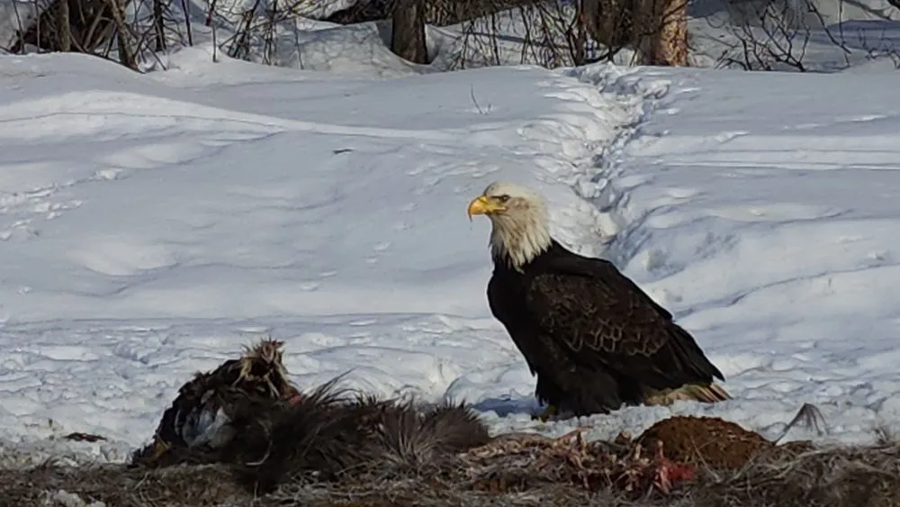 Professional drain cleaning for homes in Las Cruces, NM by Mountain Sky Plumbing