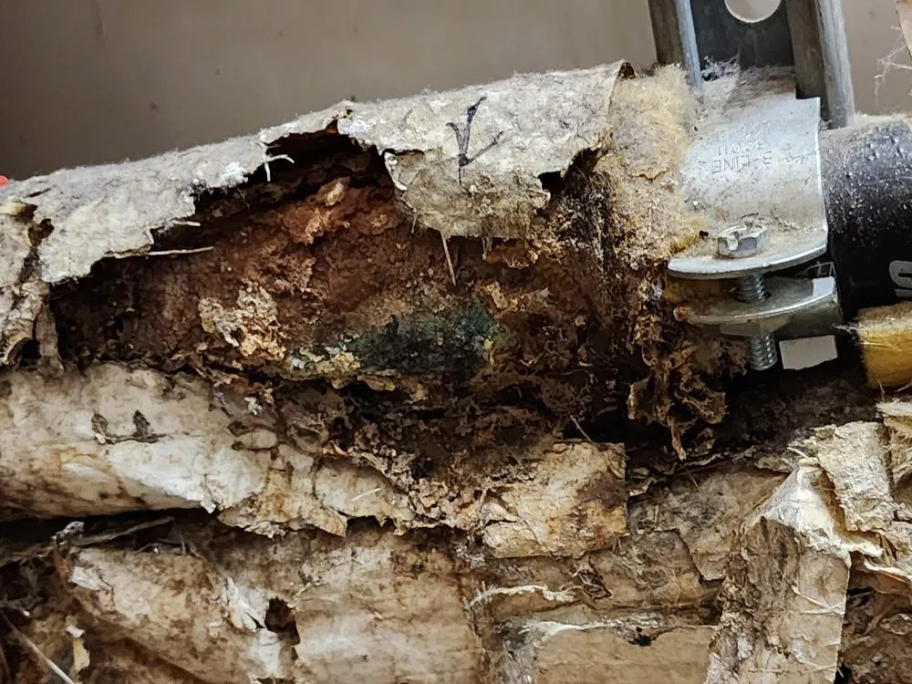 Reliable drain cleaning in Las Cruces, NM by Mountain Sky Plumbing