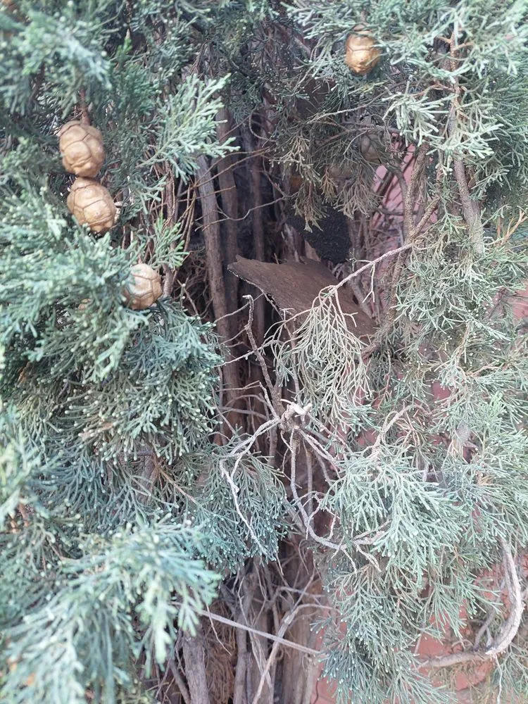 Slide of Mountain Star Roofing Systems