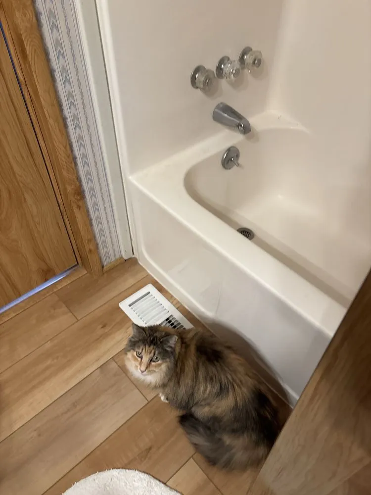 Slide of Mountain Town Plumbing