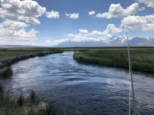 Mountain View Absentee Homeowners Service Logo